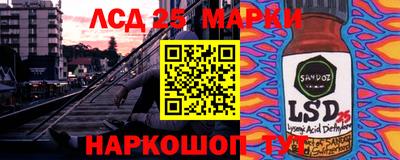 гашик Аргун