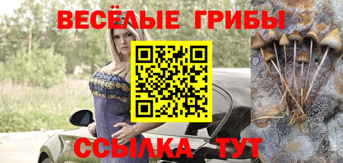 Галлюциногенные грибы Cubensis  Вход с VPN  Псилоцибиновые грибы Cubensis  Батайск 